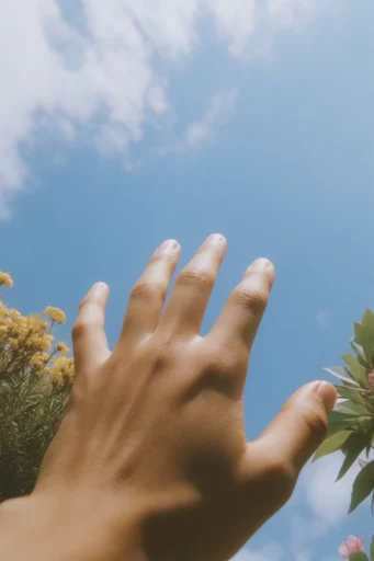 Dynamic Skyward Radiance style reference image — bright natural sunlight