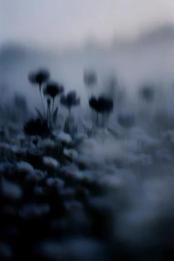 Spectral Motion Ethereality style reference image — intentional camera movement