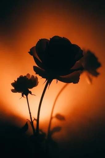 Luminous Amber Noir style reference image — dreamy film grain