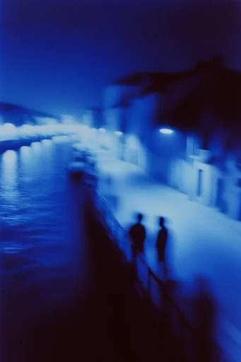 Ethereal Nocturnal Blur style reference image — heavy motion blur