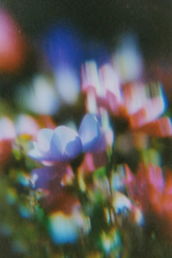 Luminous Analog Glitch style reference image — digital glitch