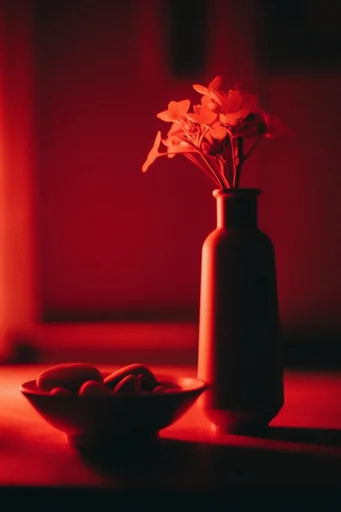 Nocturnal Crimson Noir style reference image — glowing crimson light