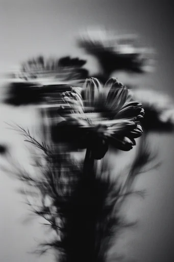 Kinetic Monochrome Noir style reference image — kinetic energy
