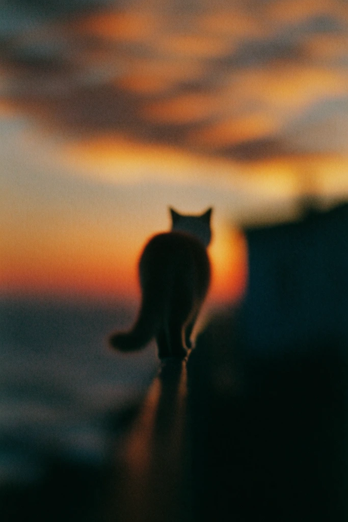 Analog Twilight Solitude style AI image example 3