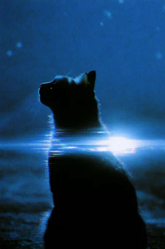 Ethereal Nocturnal Luminescence style reference image — soft-focus lens flare