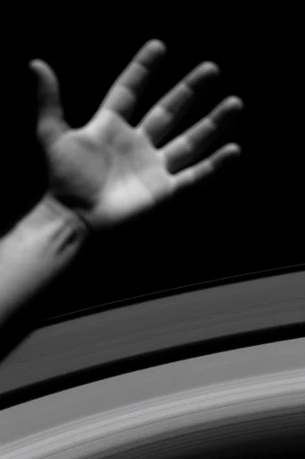 Monochrome Algorithmic Void style reference image — generative linear patterns