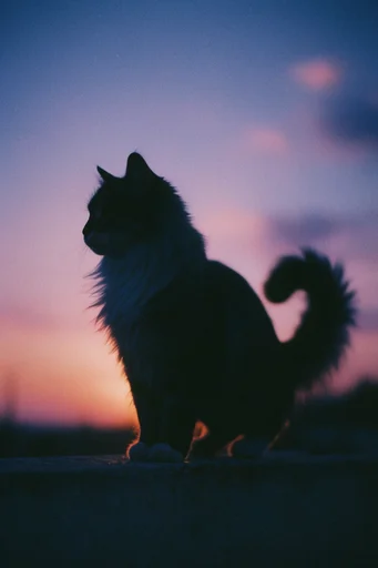 Nostalgic Twilight Haze style reference image — vintage analog photography