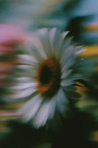 Ethereal Motion Blur style reference image — lo-fi analog texture