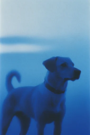 Spectral Blue Noir style reference image — spectral backlighting