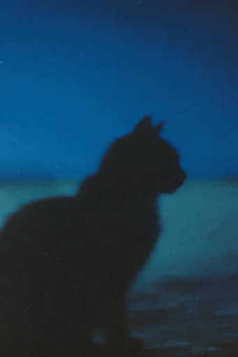 Atmospheric Analog Dreamscape style reference image — ethereal light leaks
