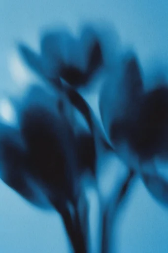 Ethereal Cyan Blur style reference image — moody low-key lighting