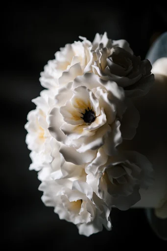 Monochromatic Botanical Chiaroscuro style reference image — pristine white texture