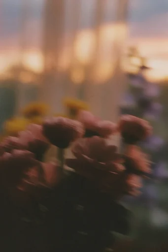 Ethereal Analog Nostalgia style reference image — ethereal silhouettes