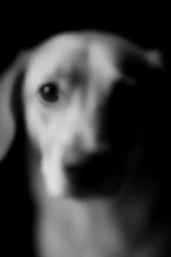 Ethereal Noir Motion style reference image — shutter drag