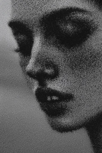 Ethereal Monochrome Grain style reference image — minimalist graphic noir