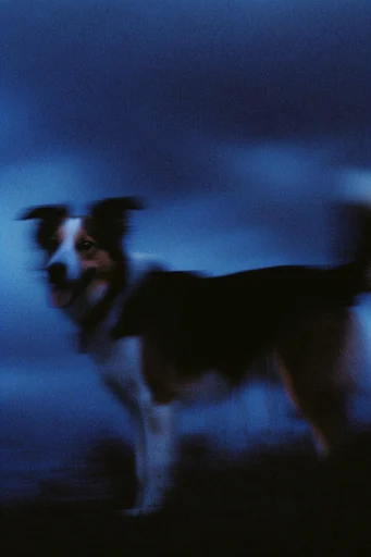 Nocturnal Spectral Blur style reference image — shutter drag