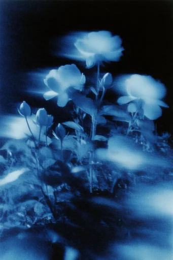 Nocturnal Spectral Blur style reference image — liminal atmosphere