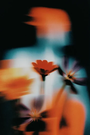 Spectral Motion Noir style reference image — analog texture