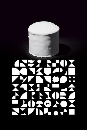 Monochrome Glitch Brutalism style reference image — stark chiaroscuro