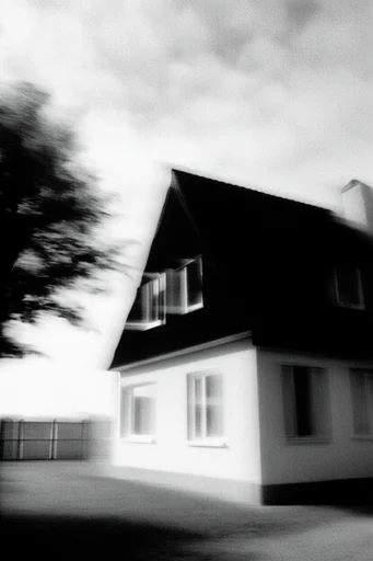 Kinetic Monochrome Abstraction style reference image — heavy film grain