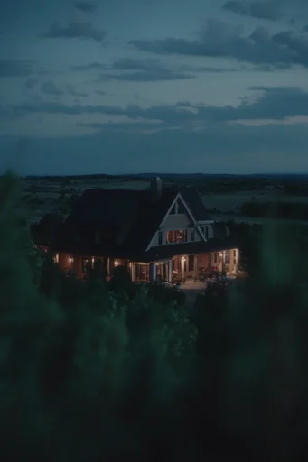 Cinematic Nocturnal Realism style reference image — shallow depth of field