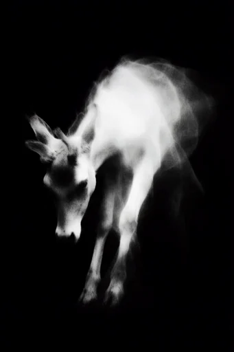 Ethereal Grain Noir style AI image example 3