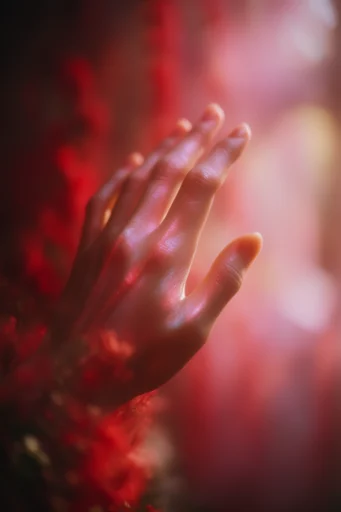 Ethereal Autumnal Warmth style reference image — shallow depth of field