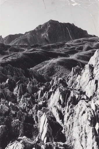 Gritty Monochromatic Surrealism style reference image — high contrast black and white