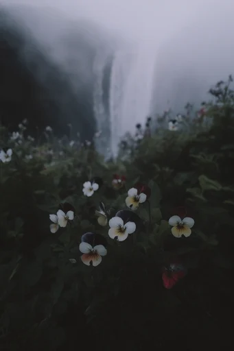 Atmospheric Nordic Gothic style reference image — somber isolated composition