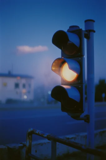 Nocturnal Twilight Melancholy style reference image — analog film grain