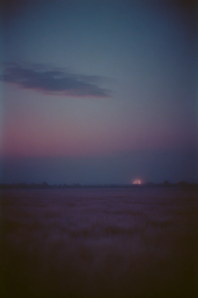 Nocturnal Twilight Melancholy style AI image example 2