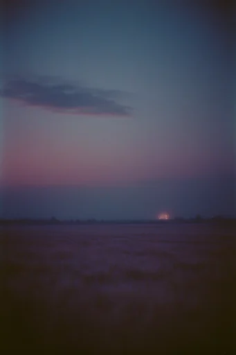 Nocturnal Twilight Melancholy style reference image — analog film grain