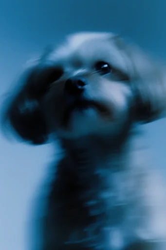 Ethereal Cyan Motion style reference image — psychological atmosphere