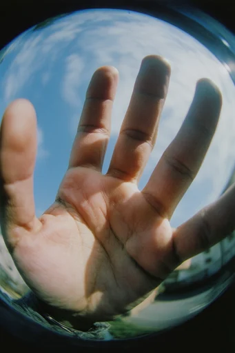 Dynamic Fisheye Nostalgia style reference image — extreme low-angle perspective