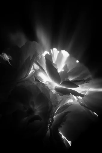 Stark Cosmic Noir style reference image — harsh rim lighting