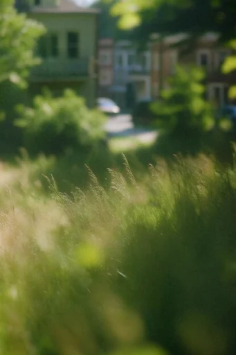 Ethereal Verdant Landscapes style reference image — velvety green textures