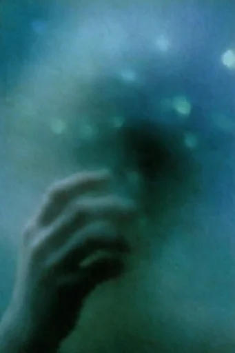 Ethereal Nocturnal Haze style reference image — soft focus