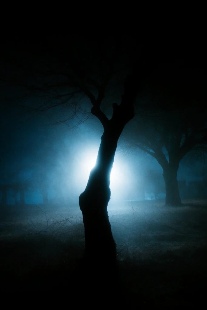 Cinematic Cyan Noir style AI image example 2