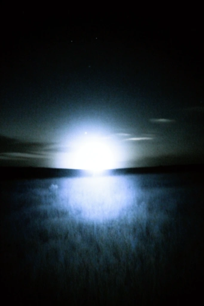 Spectral Nocturnal Luminescence style AI image example 2