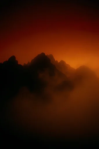 Luminous Amber Noir style reference image — soft-focus halation