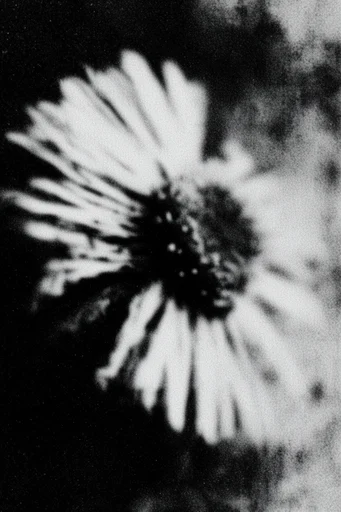 Gritty Analog Monochrome style reference image — xerox texture