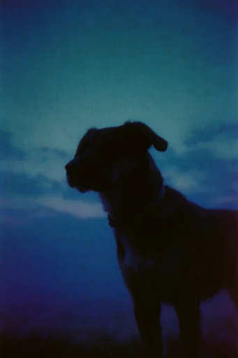 Nocturnal Liminal Noir style reference image — textured 35mm photography
