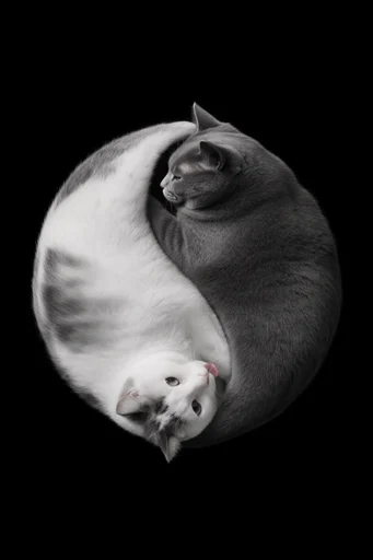 Monochromatic Botanical Chiaroscuro style reference image — sculptural organic forms