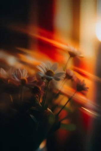 Amber Noir Dreamscape style reference image — motion blur