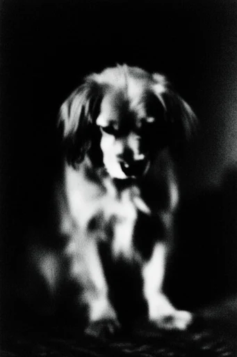 Spectral Noir Motion style reference image — ethereal light trail