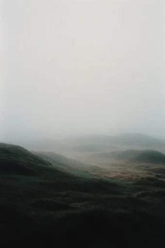 Ethereal Minimalist Melancholy style reference image — minimalist composition