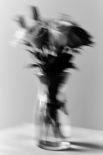 Kinetic Monochrome Distortion style reference image — high contrast black and white
