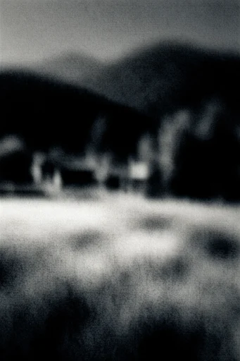 Spectral Nocturnal Grain style reference image — bioluminescent glow