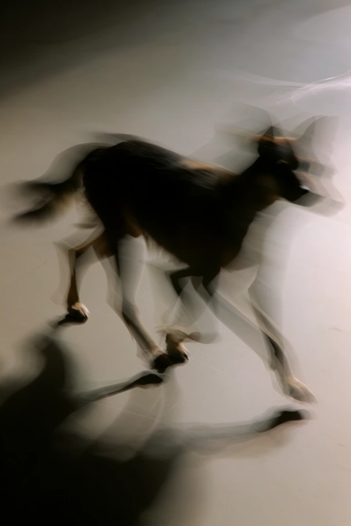 Ethereal Kinetic Minimalism style AI image example 3
