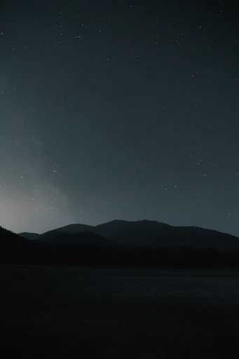 Nocturnal Celestial Minimalism style reference image — nocturnal landscape
